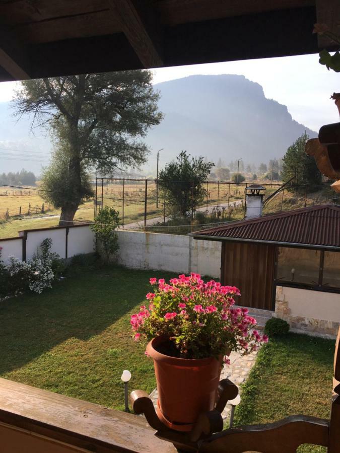 בלי איסקור Villa Paradise מראה חיצוני תמונה